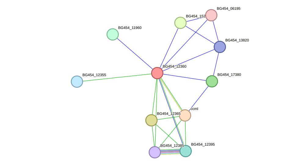 STRING protein interaction network