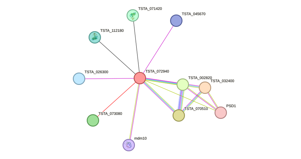 STRING protein interaction network