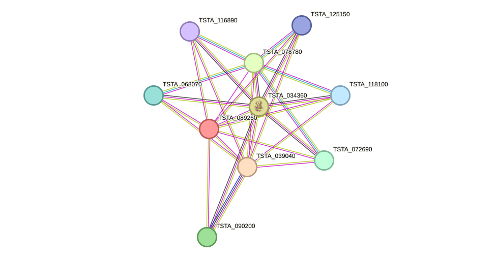 STRING protein interaction network