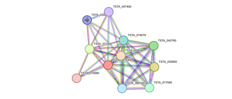 STRING protein interaction network