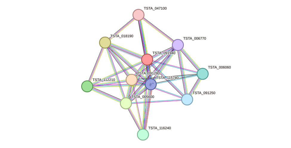 STRING protein interaction network