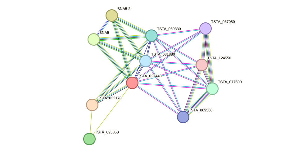 STRING protein interaction network