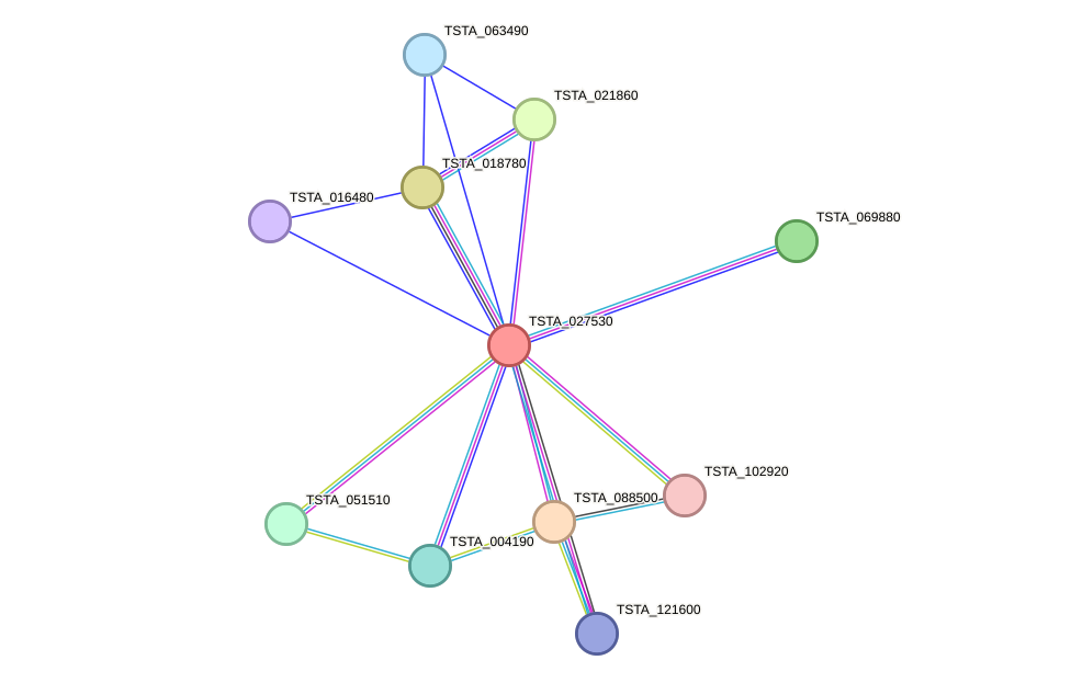 STRING protein interaction network