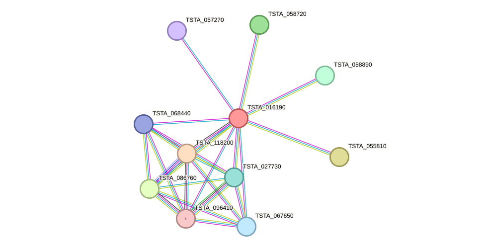 STRING protein interaction network