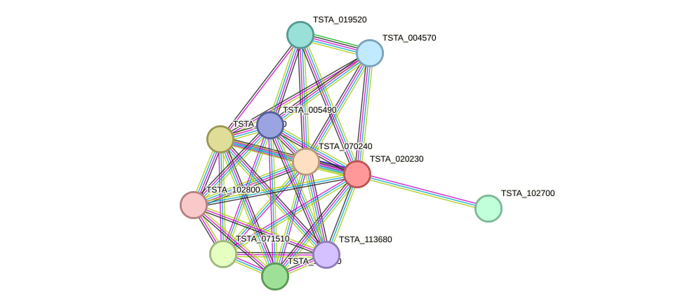 STRING protein interaction network