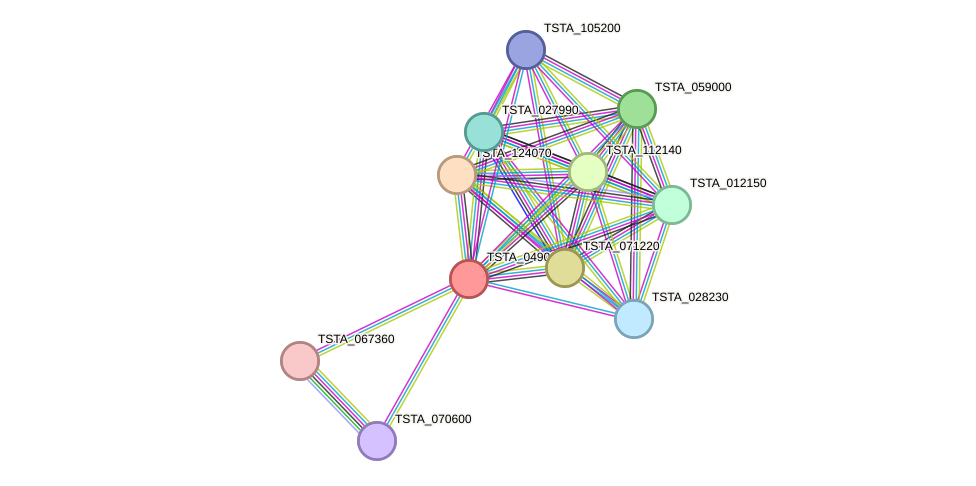 STRING protein interaction network