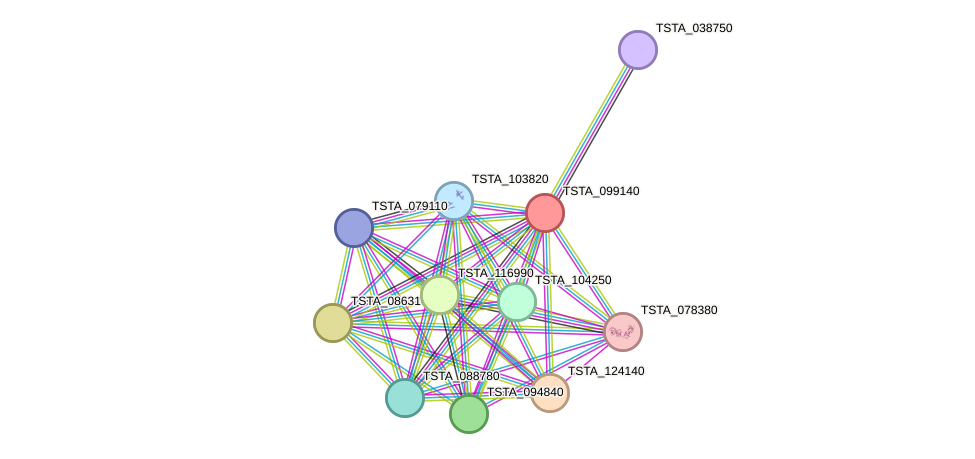 STRING protein interaction network