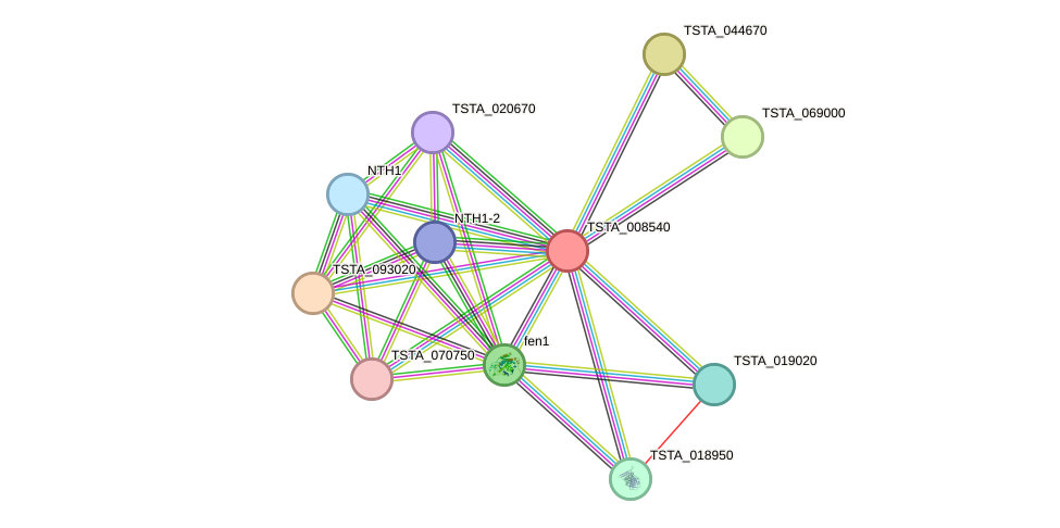 STRING protein interaction network