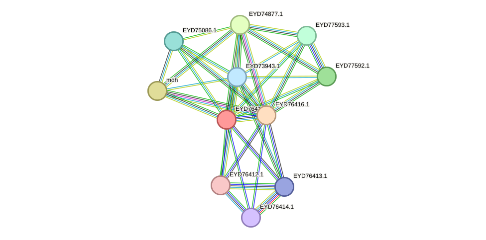 STRING protein interaction network