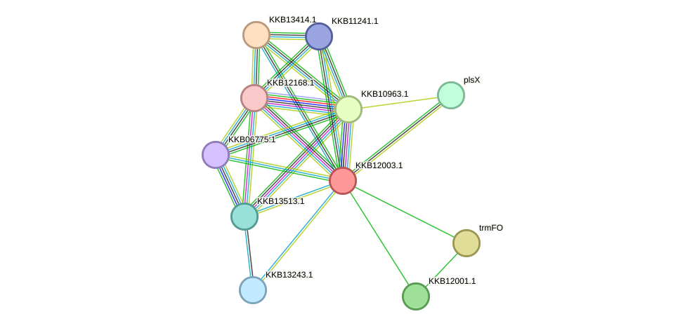 STRING protein interaction network