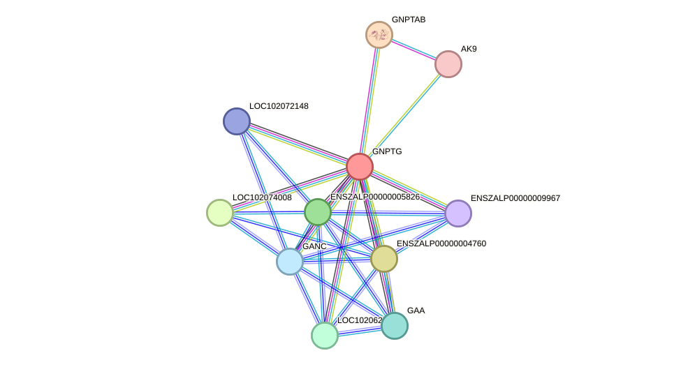 STRING protein interaction network