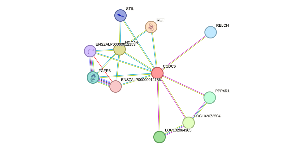 STRING protein interaction network