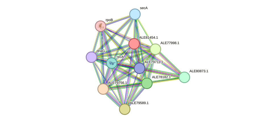 STRING protein interaction network