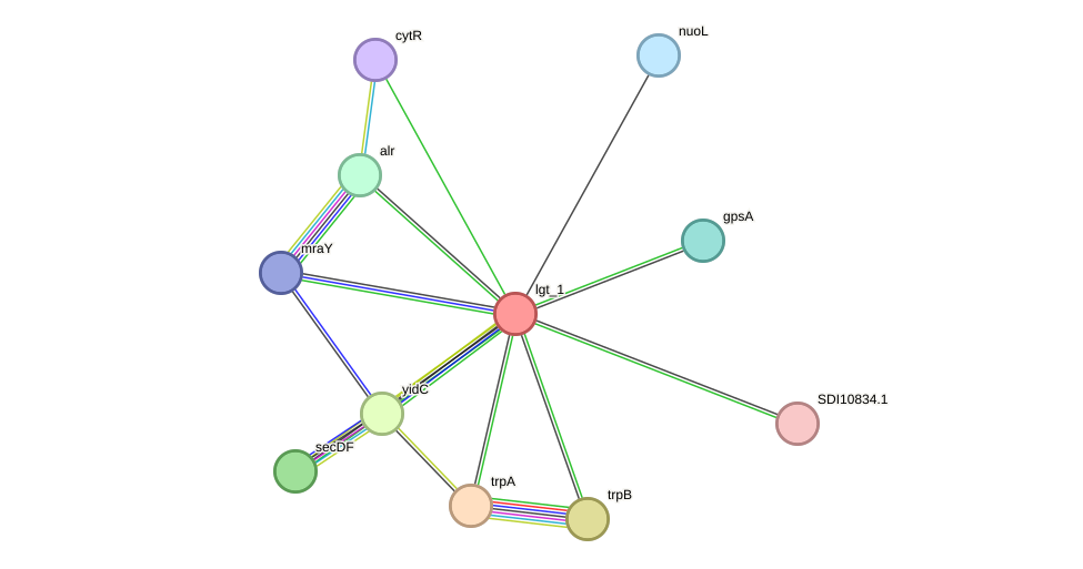 STRING protein interaction network