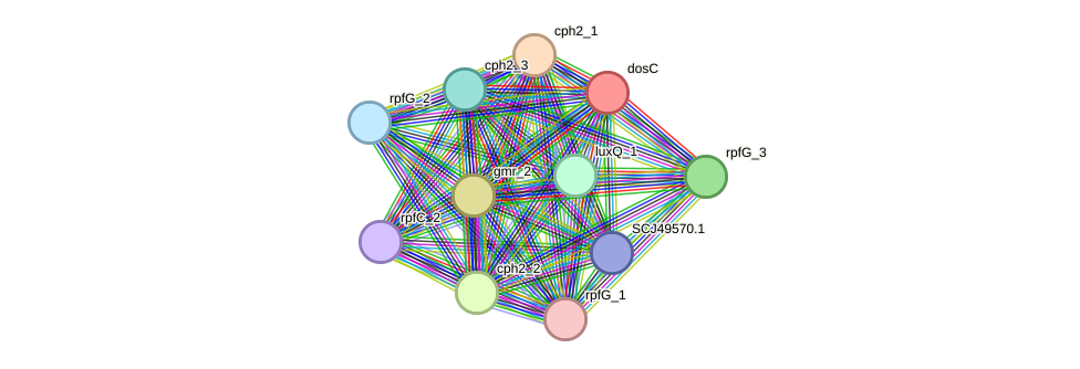 STRING protein interaction network