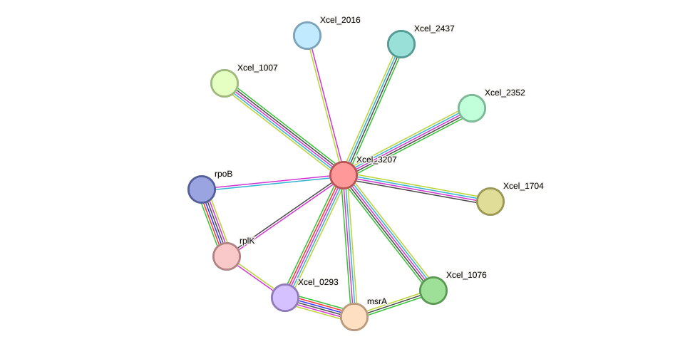 STRING protein interaction network