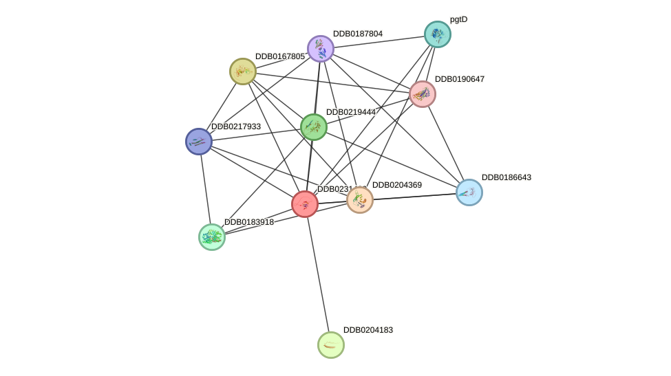 STRING protein interaction network