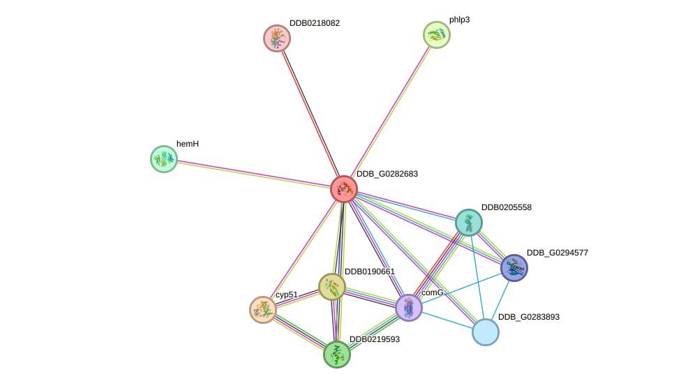 STRING protein interaction network