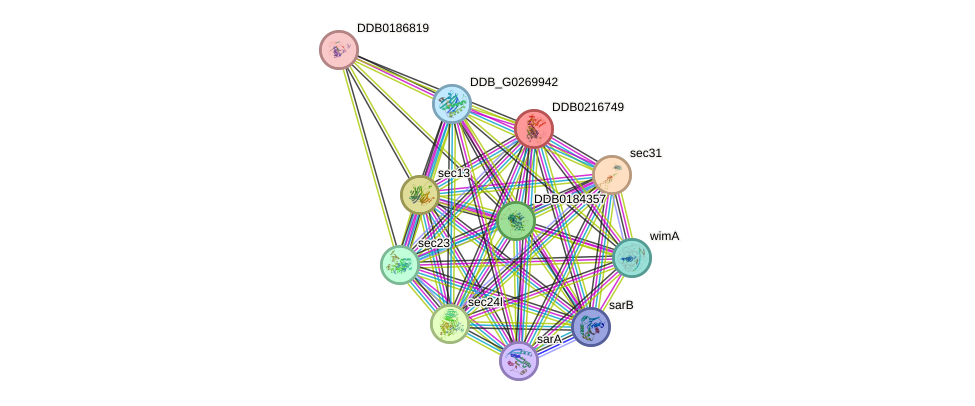 STRING protein interaction network