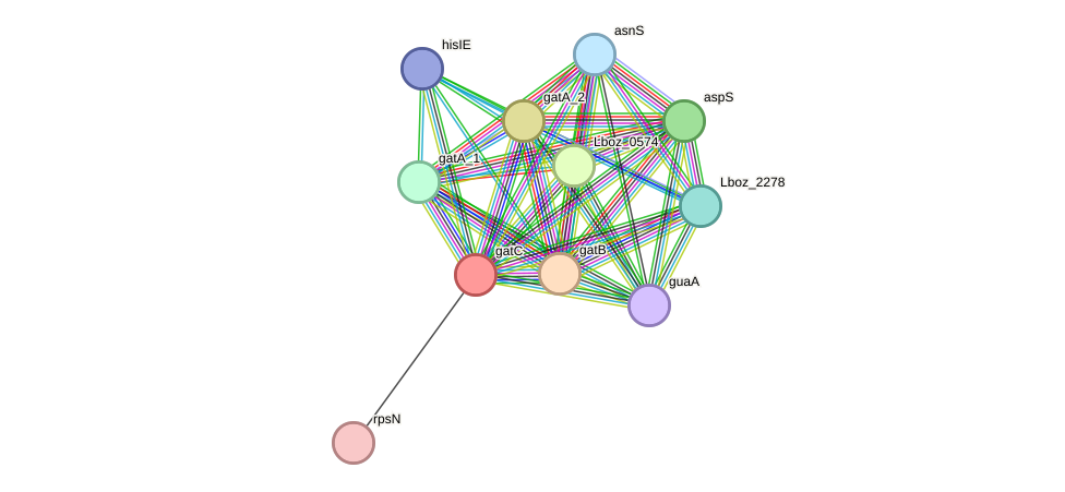 STRING protein interaction network