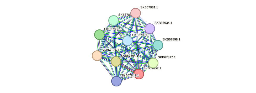 STRING protein interaction network