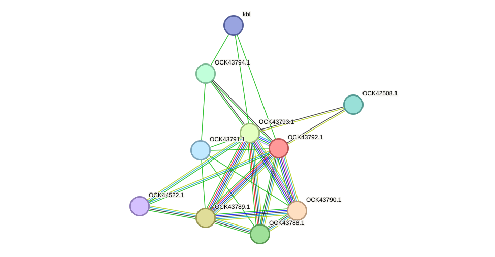 STRING protein interaction network