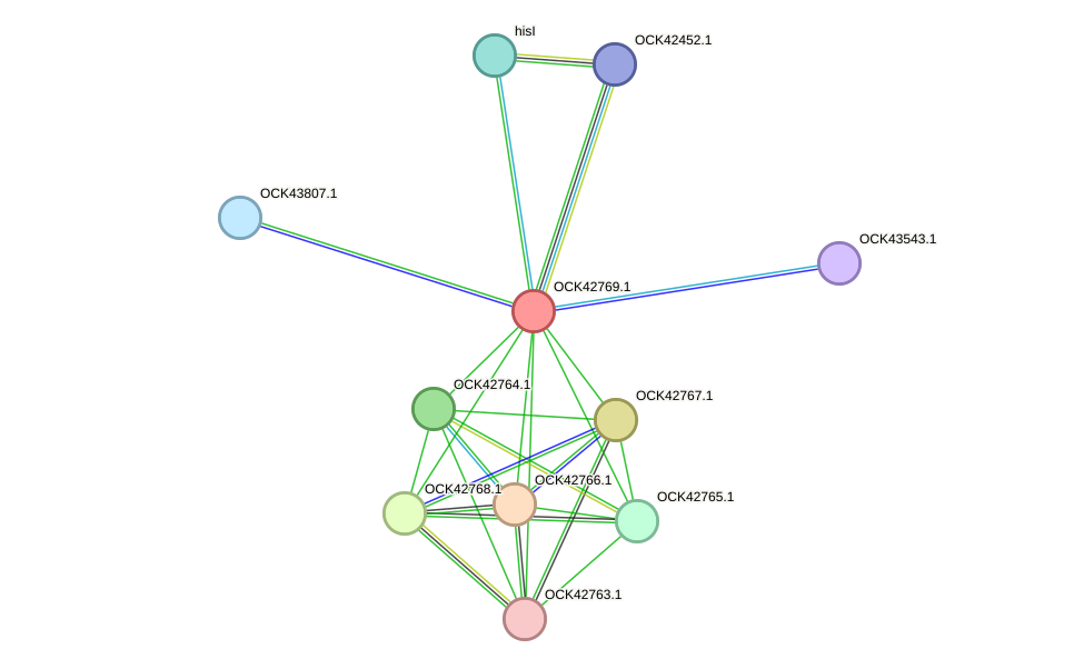 STRING protein interaction network