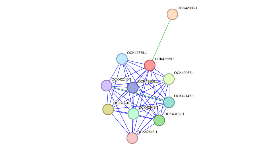 STRING protein interaction network