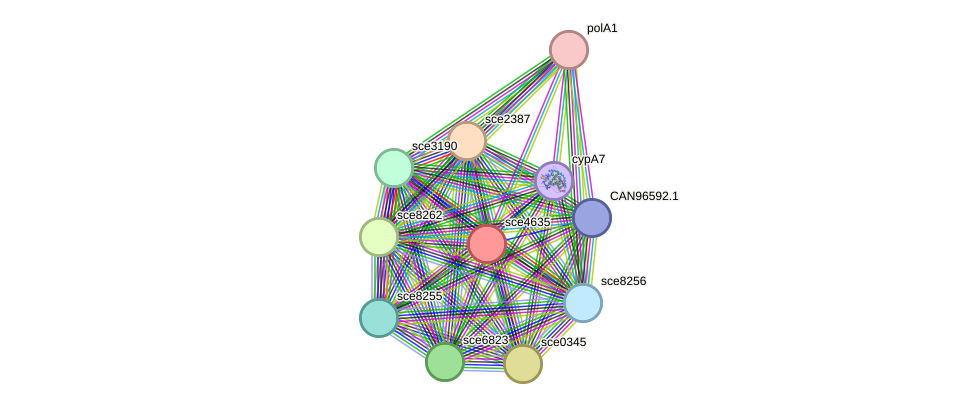 STRING protein interaction network