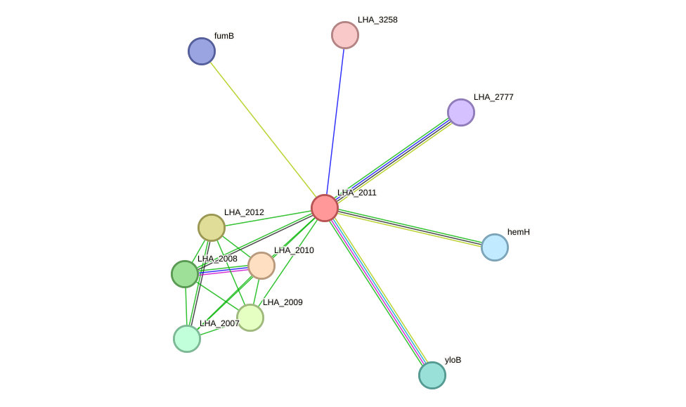 STRING protein interaction network
