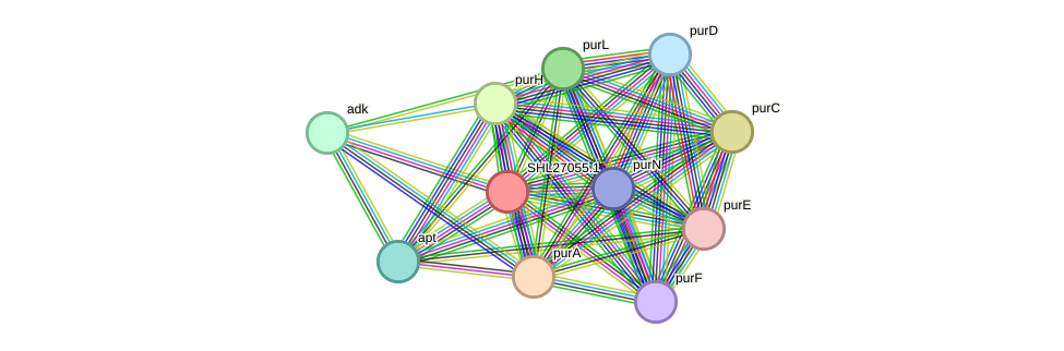 STRING protein interaction network