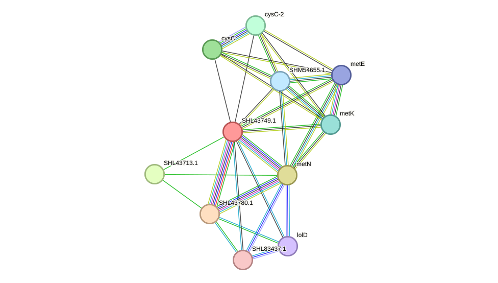 STRING protein interaction network