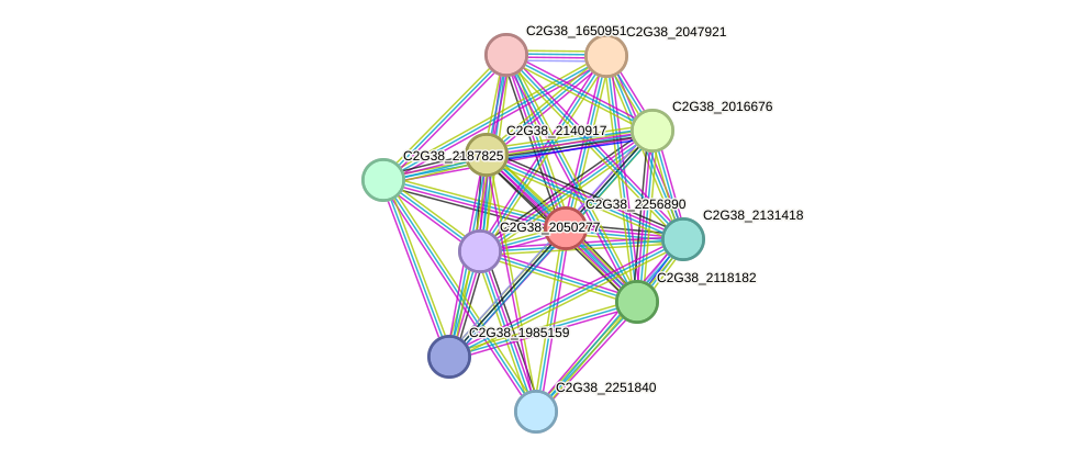 STRING protein interaction network