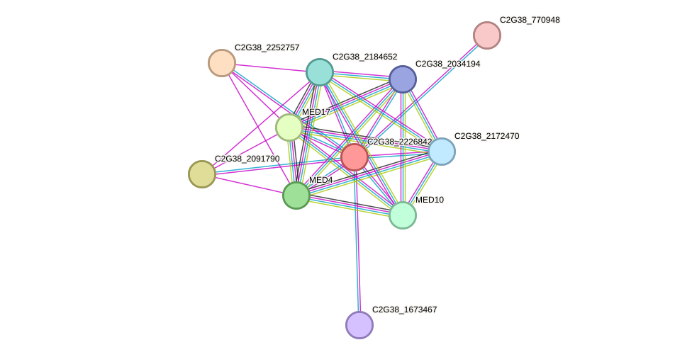 STRING protein interaction network