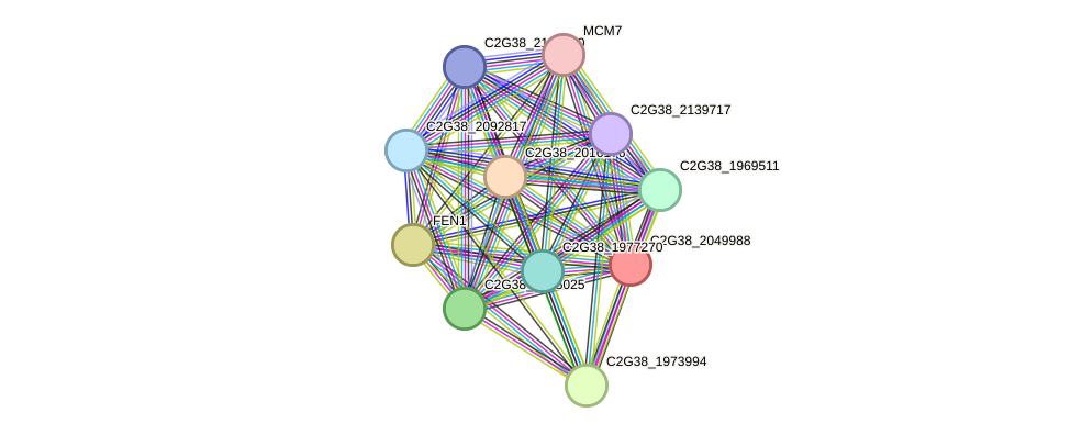 STRING protein interaction network