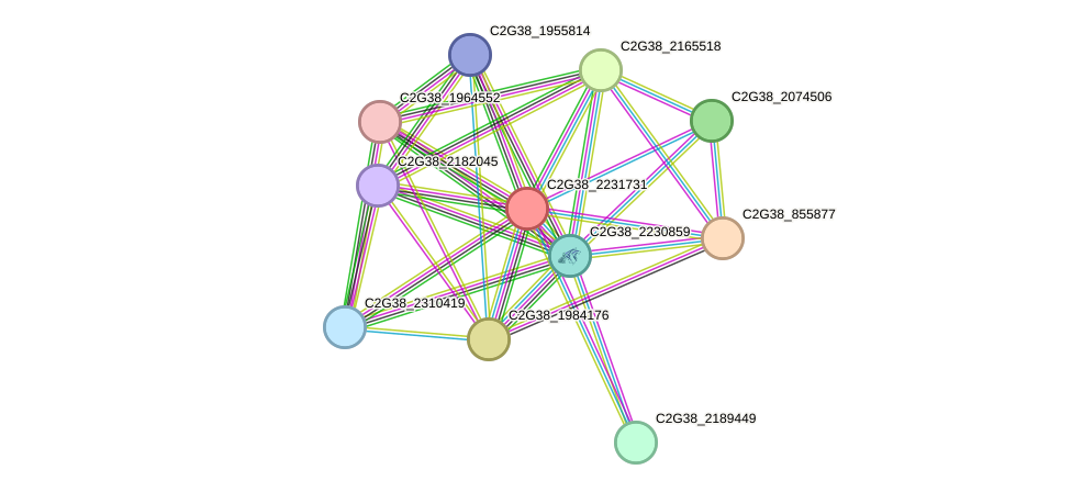 STRING protein interaction network