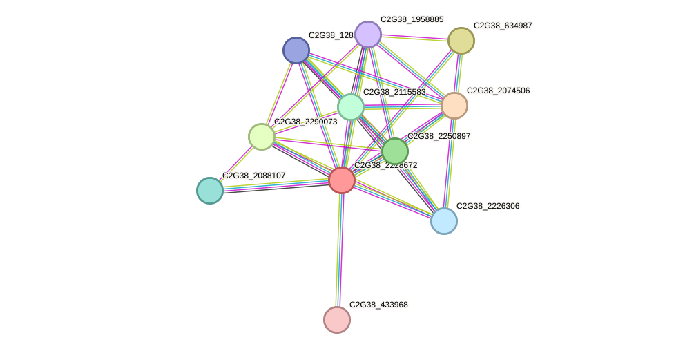 STRING protein interaction network