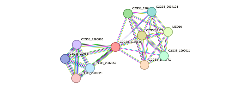 STRING protein interaction network