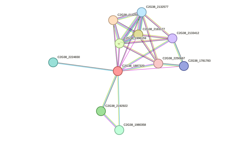 STRING protein interaction network