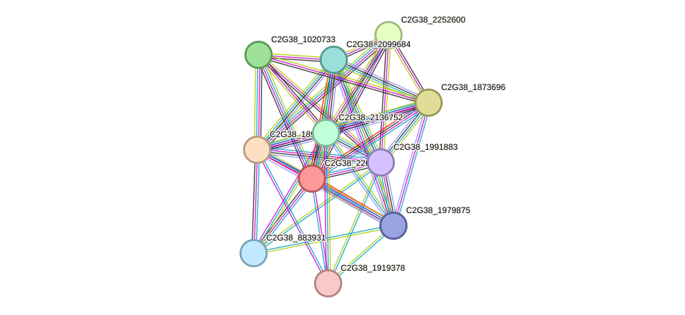 STRING protein interaction network