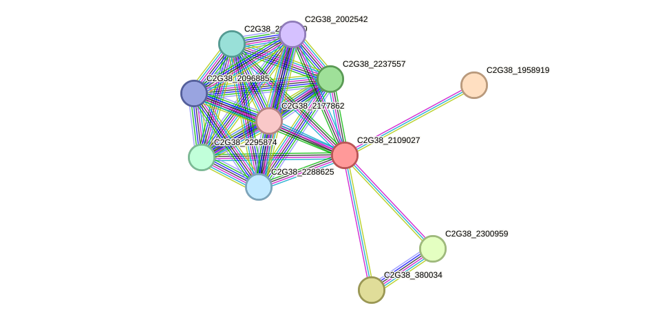 STRING protein interaction network