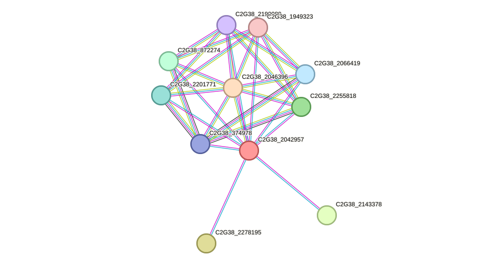 STRING protein interaction network