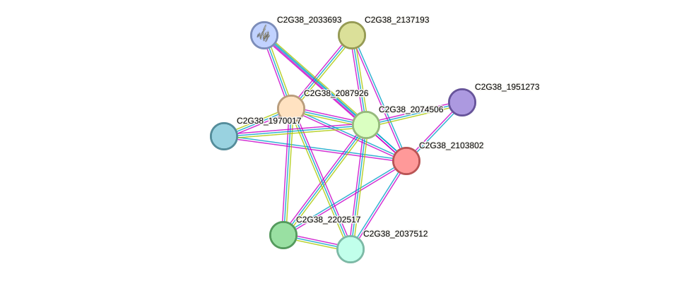 STRING protein interaction network