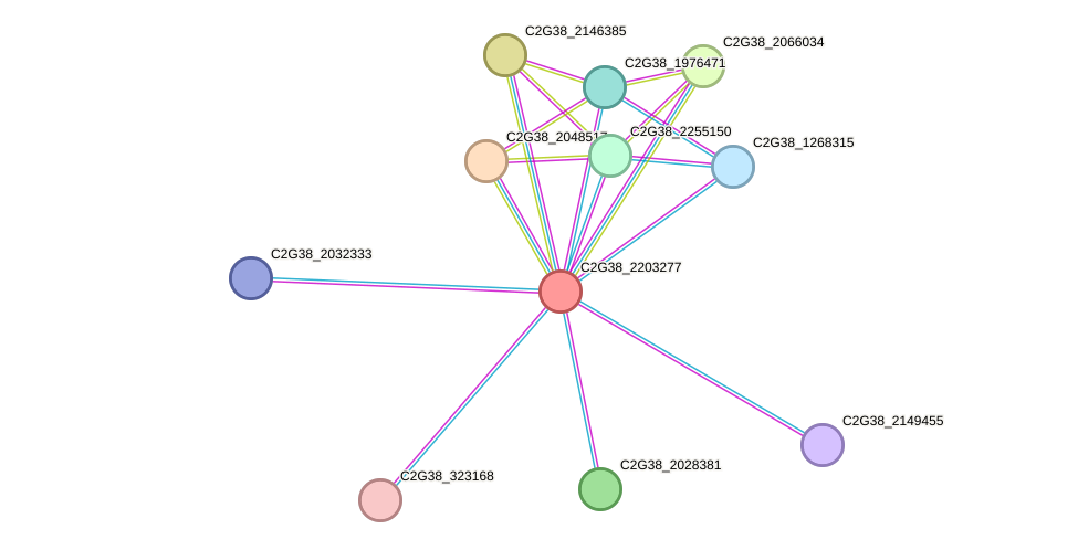 STRING protein interaction network