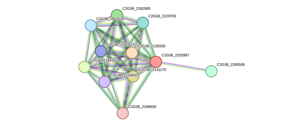 STRING protein interaction network