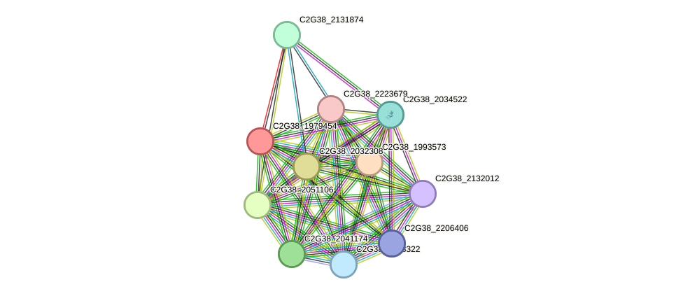 STRING protein interaction network