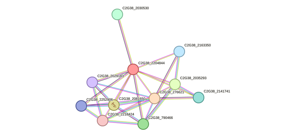 STRING protein interaction network