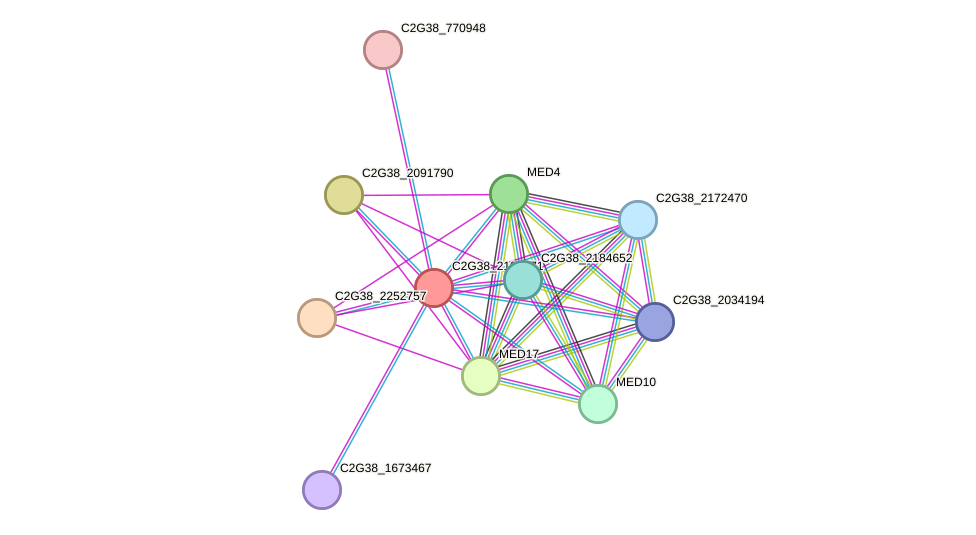 STRING protein interaction network