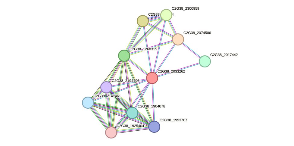 STRING protein interaction network