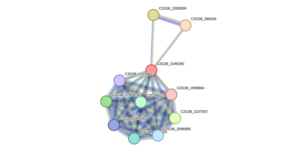 STRING protein interaction network